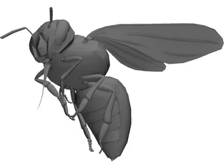 Bee 3D Model