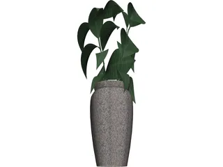 Ficus  3D Model