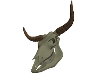 Cow Scull 3D Model