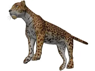 Jaguar 3D Model