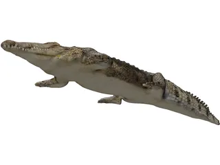 Crocodile 3D Model