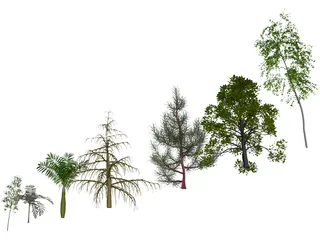 Trees Pack 3D Model