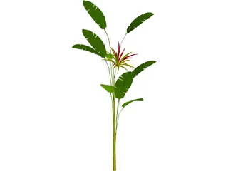 Flower 3D Model