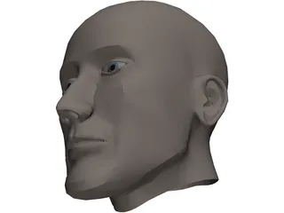 Head Human 3D Model