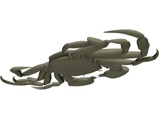 Chinese Mitten Crab 3D Model