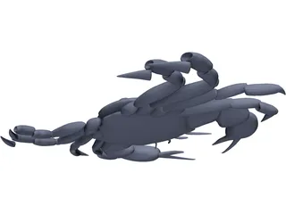 Harris Mud Crab 3D Model