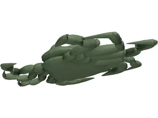 European Green Crab 3D Model