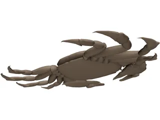 Asian Shore Crab 3D Model