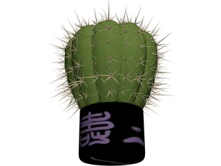 Cactus 3D Model