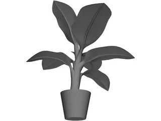 Banana Plant 3D Model