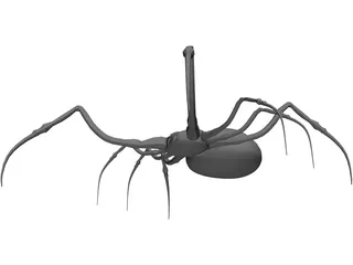 Spider 3D Model