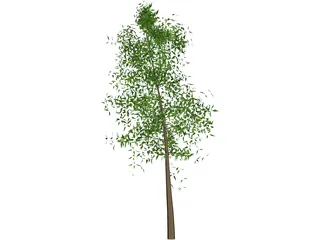 Tree 3D Model