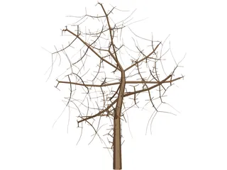 Tree 3D Model