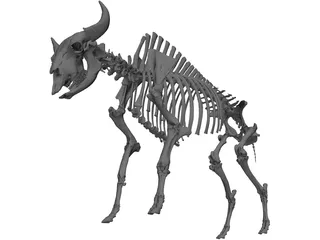 Bull Skeleton 3D Model