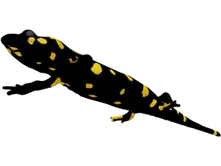 Salamandra 3D Model