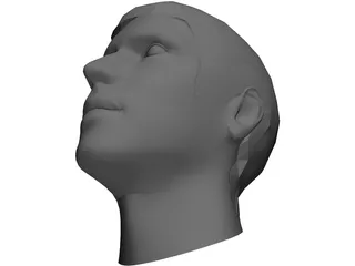 Man Head 3D Model