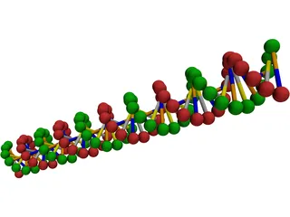 DNA 3D Model