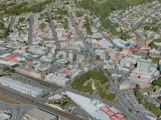 Dunedin City, New Zealand (2021) 3D Model