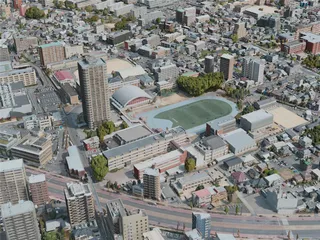 Kumamoto City, Japan (2021) 3D Model