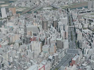 Kawasaki City, Japan (2021) 3D Model