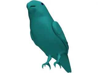 Parakeet 3D Model