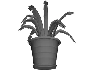 Aloe Plant in a Pot 3D Model