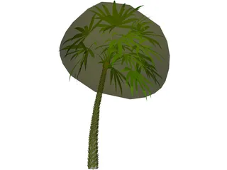 Palm 3D Model