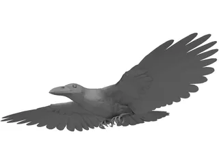 Raven 3D Model