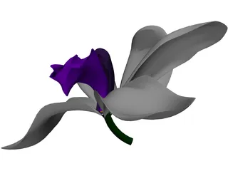 Orchid 3D Model