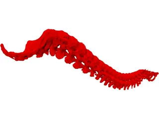 Vertebral Column 3D Model