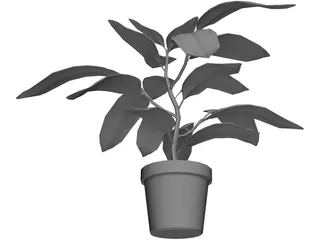 Houseplants 3D Model