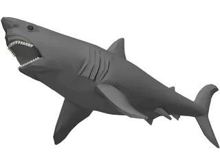 Shark Great White 3D Model