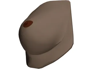 Breast 3D Model