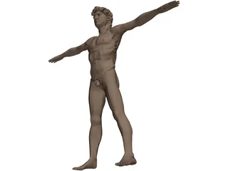 Man David 3D Model