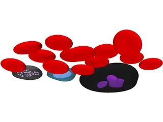 Blood Cells 3D Model