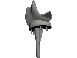 Knee 3D Model