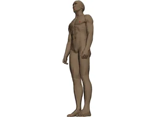 Man 3D Model