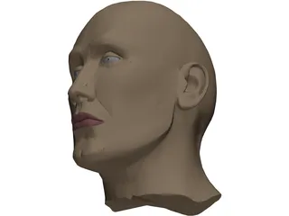 Head Male 3D Model