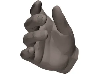 Hand Male 3D Model