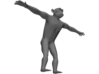 Chimpanzee 3D Model