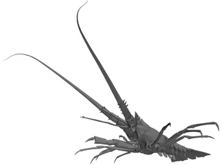 Lobster 3D Model