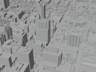 Raleigh City, USA (2023) 3D Model