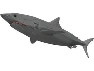 Great White Shark 3D Model