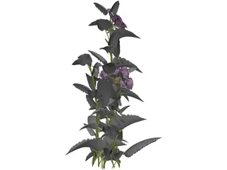 Plant 3D Model