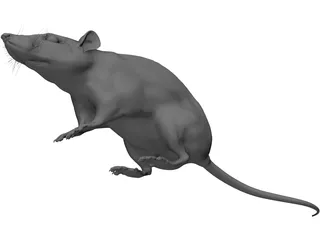 Rat House 3D Model