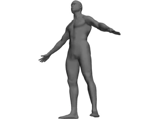 Man Body International 3D Model