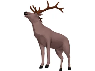 Deer 3D Model