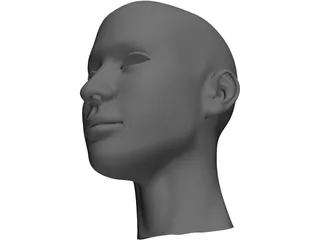 Head 3D Model