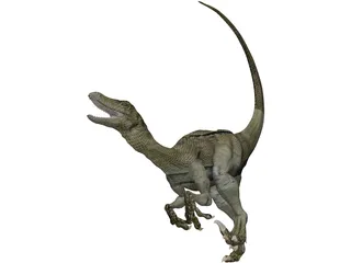 Raptor 3D Model