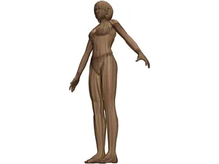 Bikini Girl 3D Model